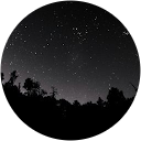 evan lak apu profile picture