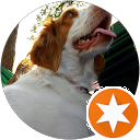 jonathan stevenson profile picture